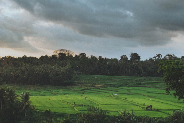 Festive-Bali-Wedding-28