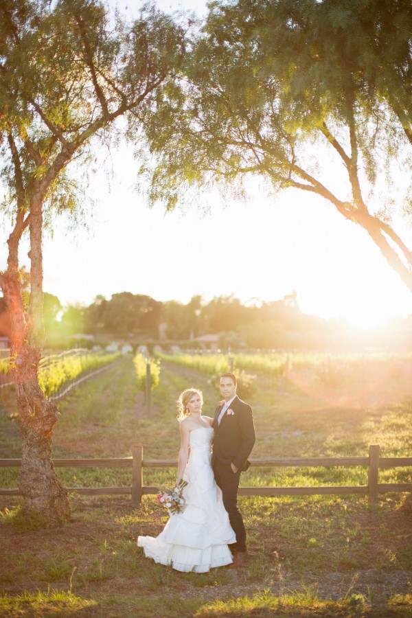 romantic vineyard wedding