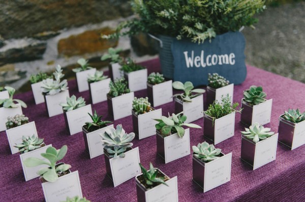 succulent favors