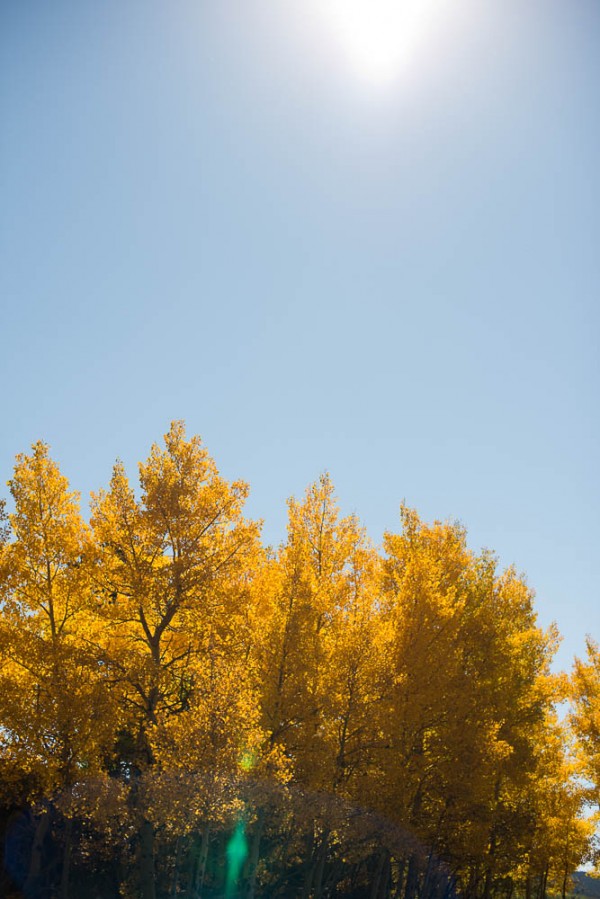 Yellow-Aqua-Aspen-Wedding-3