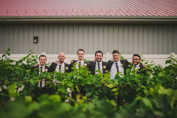 Adorable-Ohio-Winery-Wedding-CandI-Studios-9