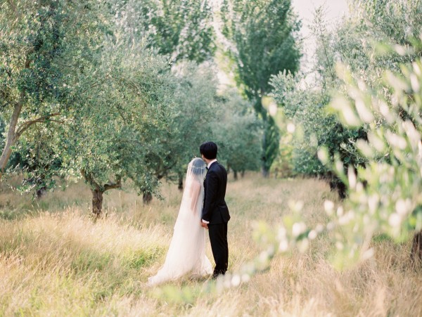 Dreamy-New-Zealand-Wedding-Erich-McVey-37