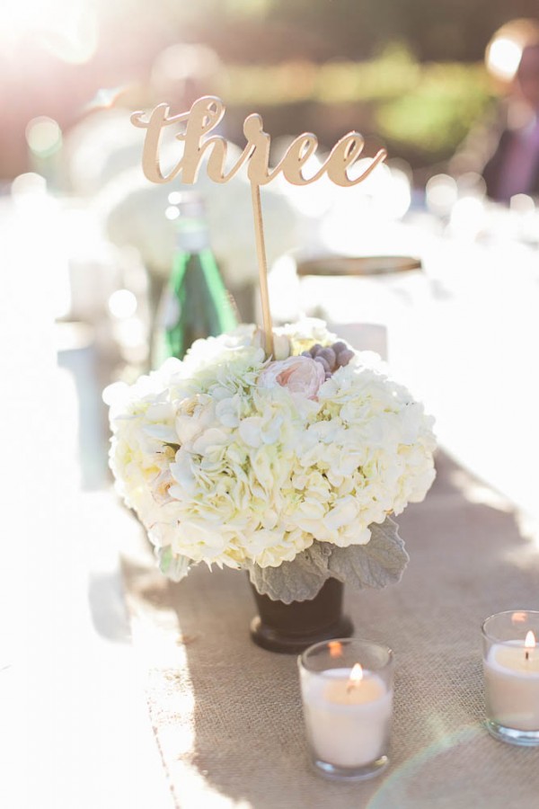 Outdoor-San-Diego-Wedding-Rachel-Solomon-27