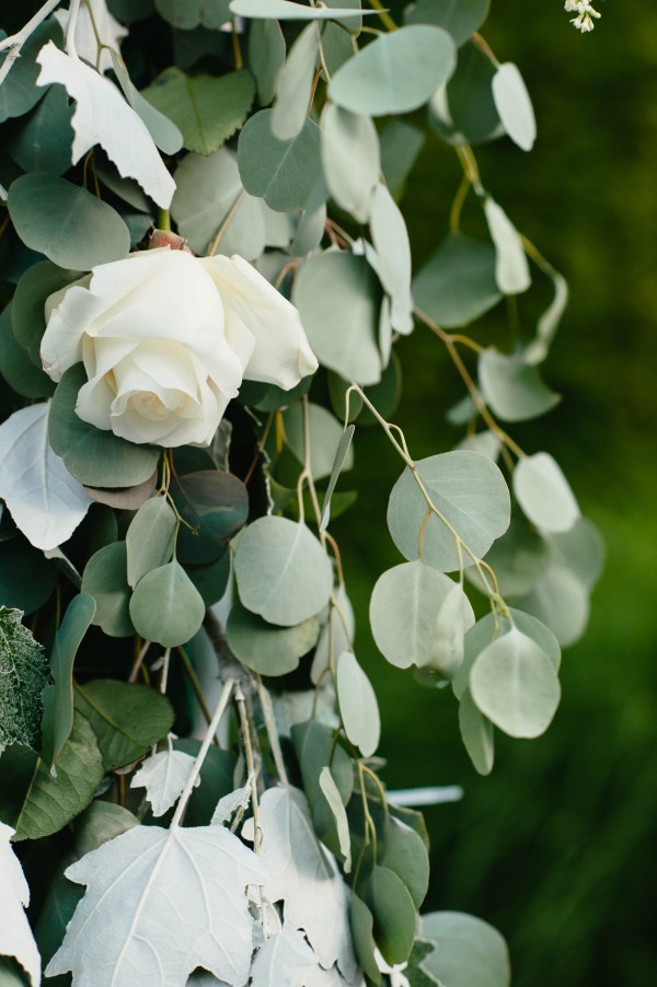 Blue-Sage-Wedding-Columbia-Winery-Laurel-McConnell (24 of 27)