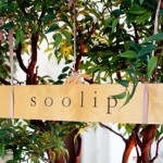 A Soolip Wedding Recap