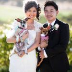 Wedding Clothing, Accessories and Decor for Dogs