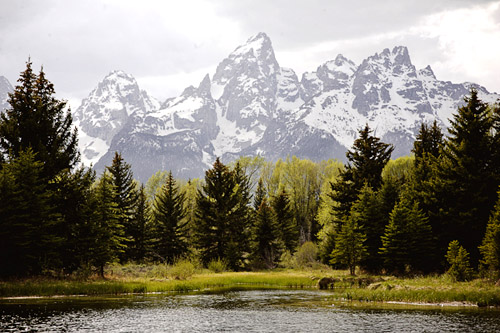 Honeymoon In Grand Teton And Jackson Hole Wyoming Junebug Weddings