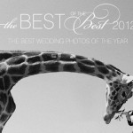 Last Call for Submissions to the Best of the Best 2012!