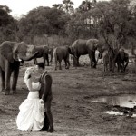 South Africa Destination Weddings – Advice from Wedding Concepts