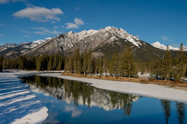 Quirky-Retro-Banff-Wedding (1 of 24)