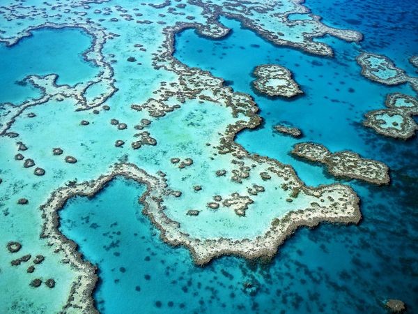 great-barrier-reef-aerial-view_28007_600x450