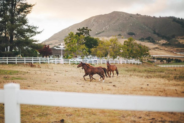 Mid-Century-Inspired-Wedding-at-the-Madonna-Inn (32 of 33)