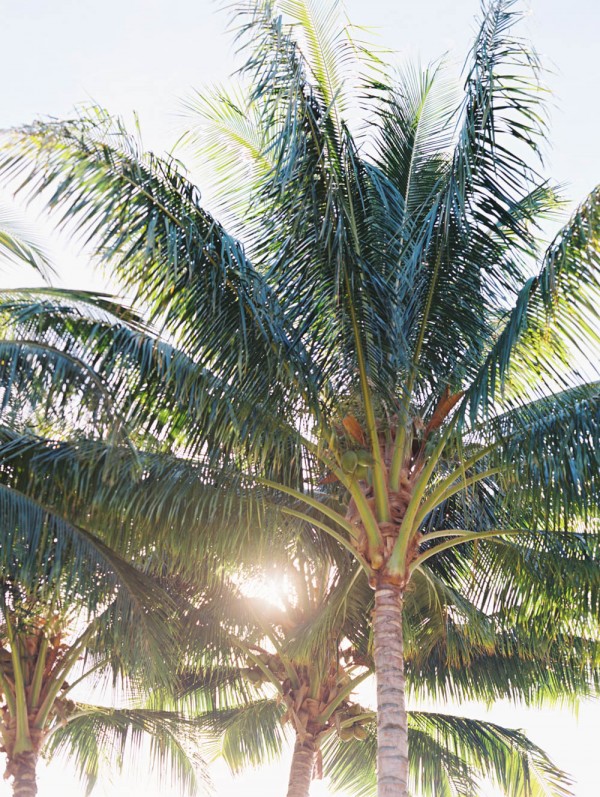 Steamy-Hawaiian-Wedding-Inspiration-Wendy-Laurel-Photography (19 of 34)