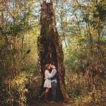 Woodsy Engagement in the Withlacoochee State Forest