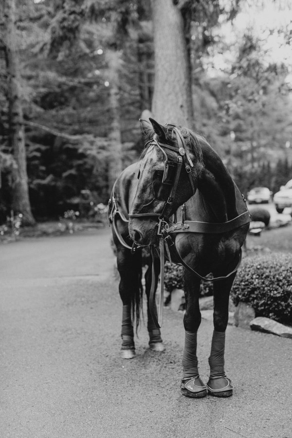 Dreamy-Outdoor-Wedding-at-Tracy-Castle (28 of 35)