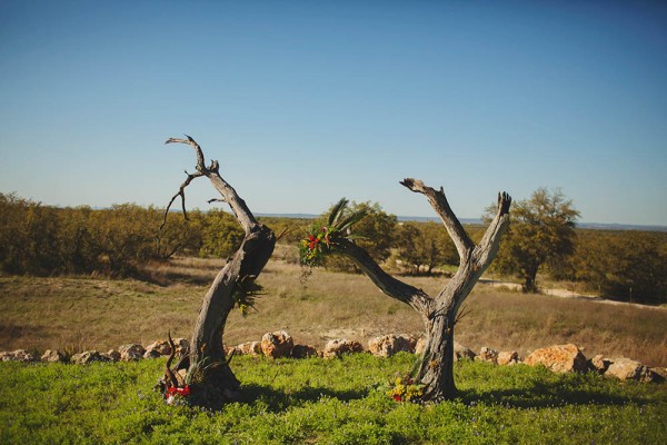 Wildlife-Inspired-Wedding-at-Three-Points-Ranch (10 of 37)