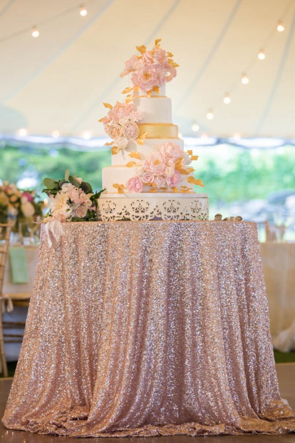 Blush-and-Gold-Wedding-at-Jonathan-Edwards-Winery (34 of 37)