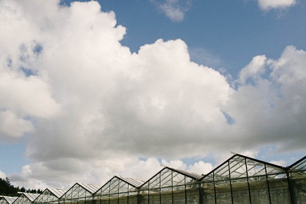 Charming-Swedish-Greenhouse-Wedding-Per-Henning (30 of 38)