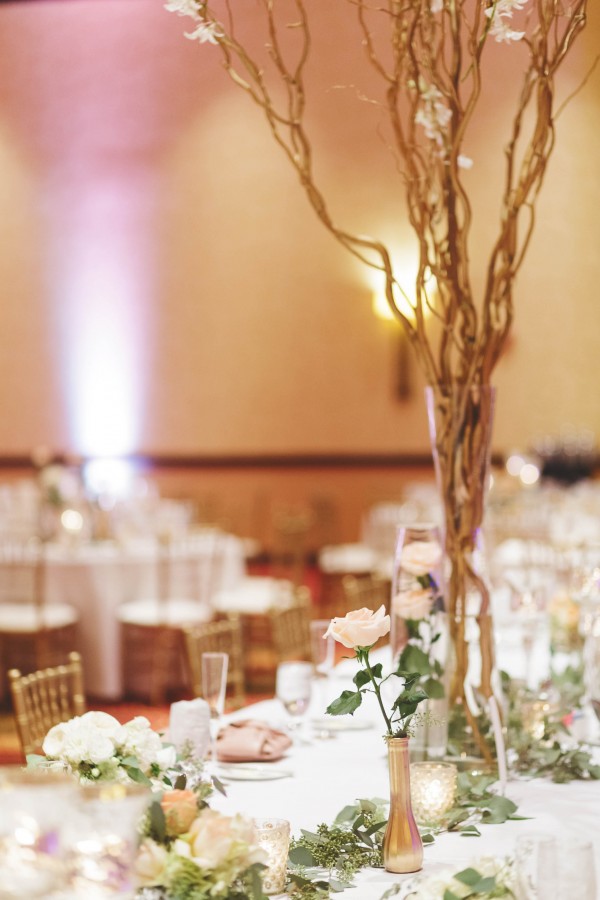 Gorgeous-Bloomington-Normal-Marriott-Hotel-Wedding-Rachael-Schirano-Photography (23 of 25)