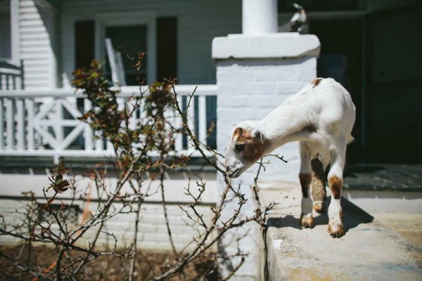 Rustic-Bohemian-Wedding-at-Elodie-Farm (1 of 43)