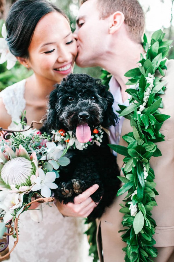 Dogs in weddings