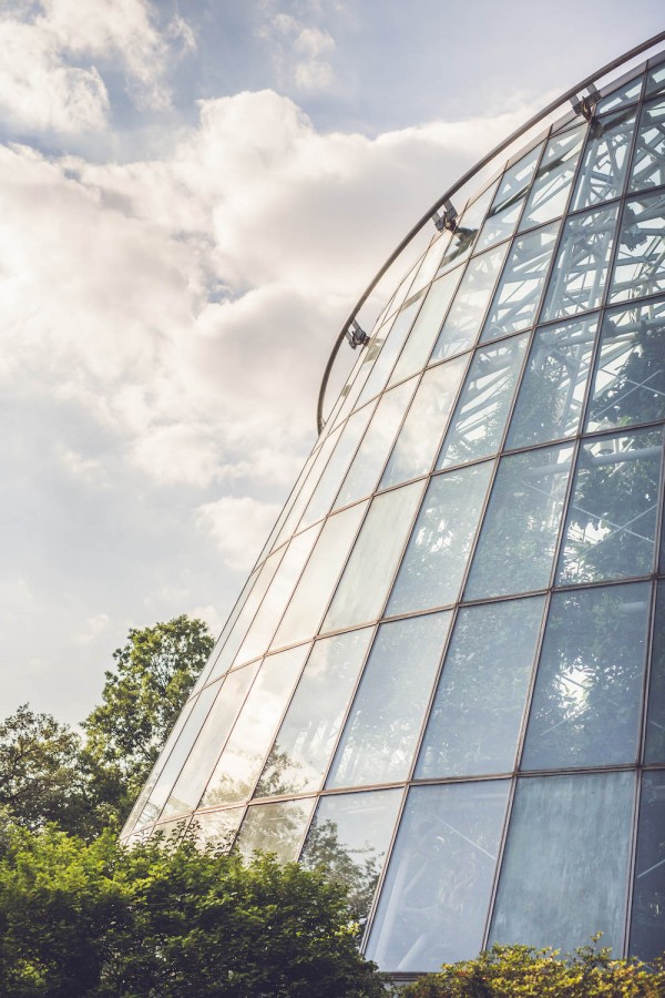 Intimate-Houston-Museum-of-Natural-Science-Wedding-Ama-Photography-and-Cinema-001