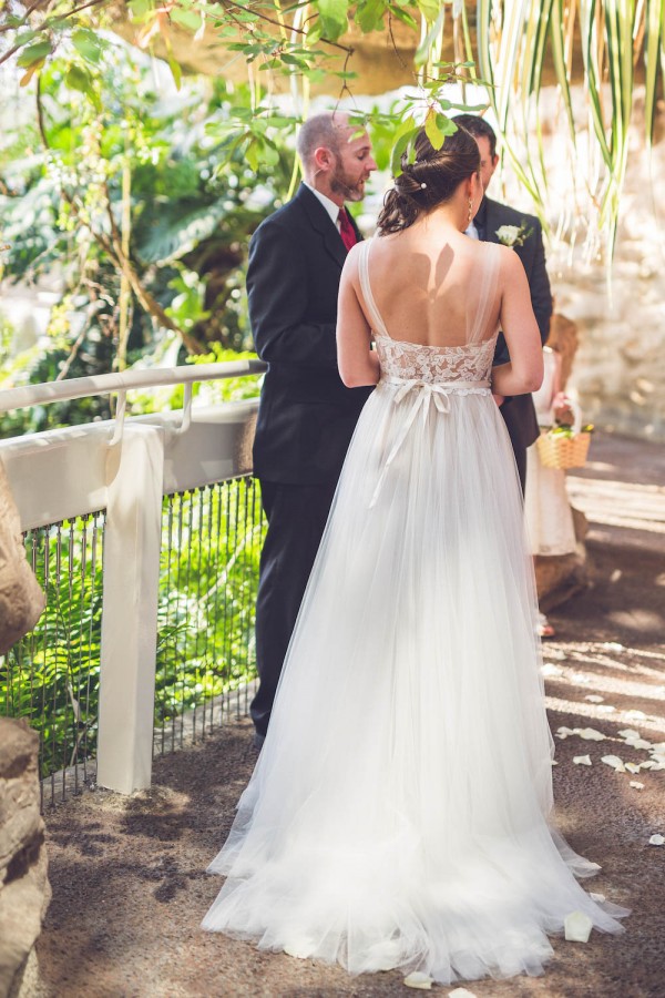 Intimate-Houston-Museum-of-Natural-Science-Wedding-Ama-Photography-and-Cinema-016