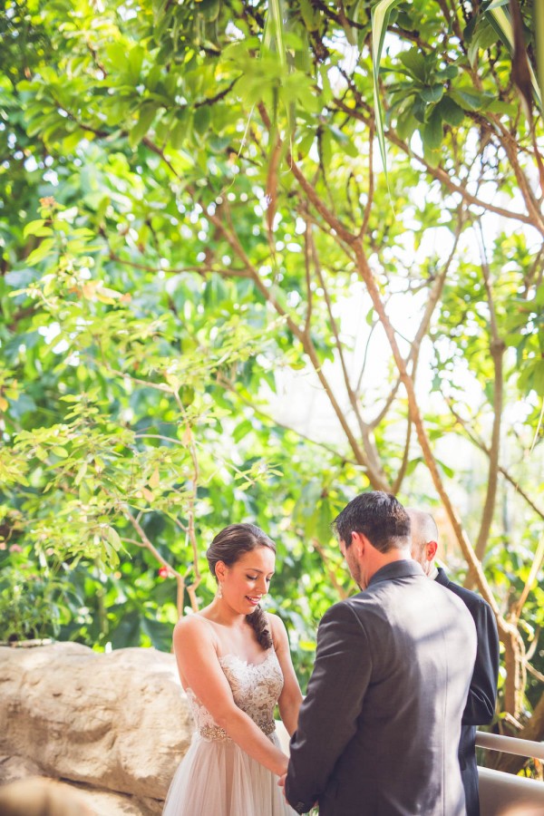 Intimate-Houston-Museum-of-Natural-Science-Wedding-Ama-Photography-and-Cinema-017