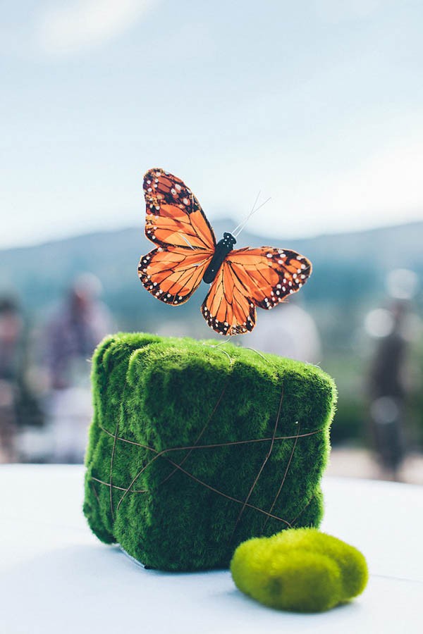 Wes-Anderson-Inspired-Wedding-at-Squaw-Valley-Vitae-Weddings-146