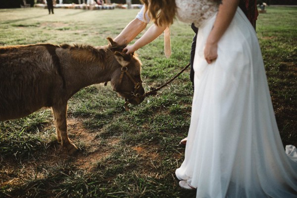 Rustic-Boho-Wedding-at-Merry-Hill-Farm (25 of 41)