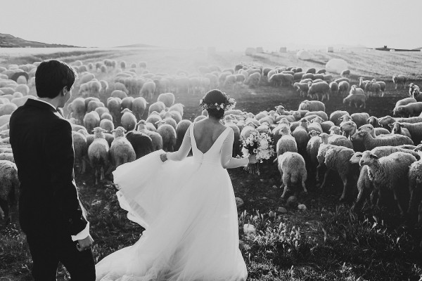 2015 best wedding photos