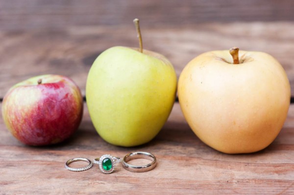 Country-Chic-Wedding-at-Philo-Apple-Farm-Rebecca-Gosselin-Photography-13