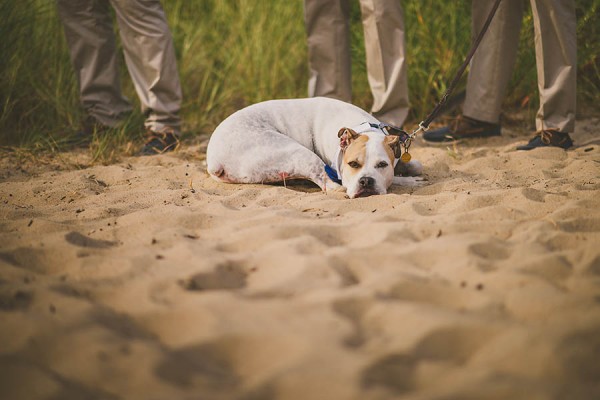 Nautical-Bohemian-Cape-Cod-Wedding-Xu-Liu-Photography-15