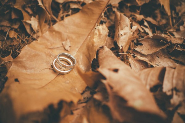 Sweet-Autumn-Engagement-Session-at-Gellatly-Nut-Farm-Joelsview-Photography-22