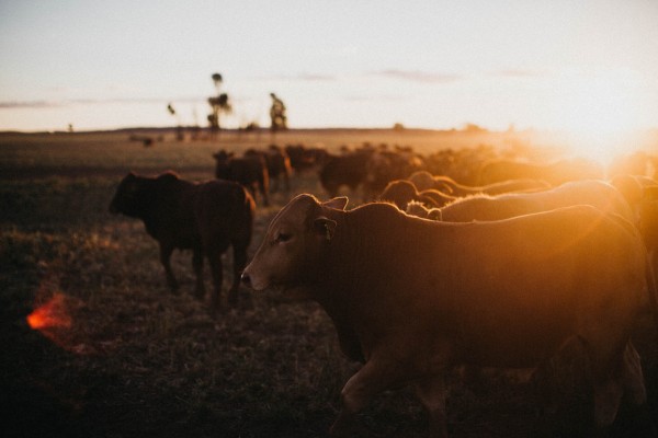 Rustic-Australian-Farm-Wedding (26 of 32)