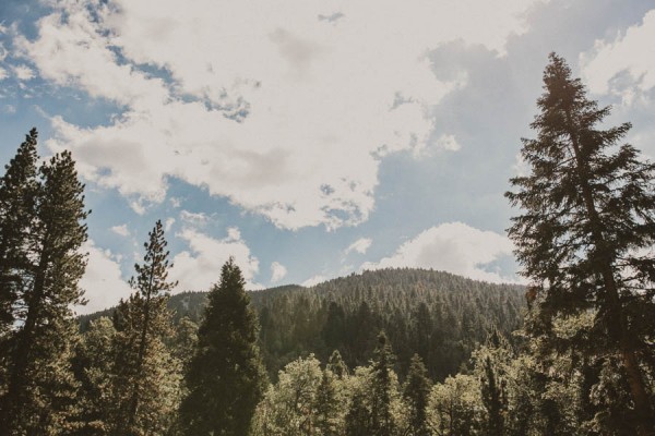 Impossibly-Romantic-Woodland-Wedding-YMCA-Camp-Round-Meadow-1