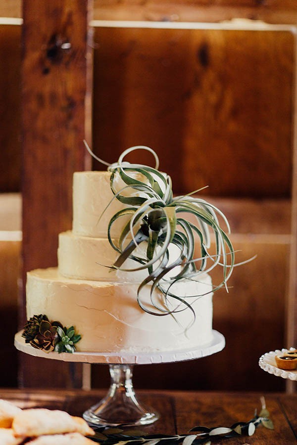 Modern-Cuyahoga-Valley-Wedding-Dark-Wood-Succulents-Addison-Jones-28