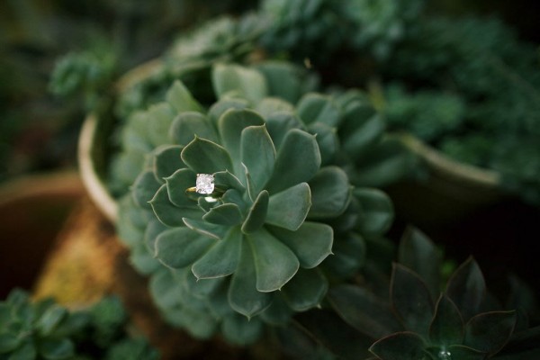 Haiku-Mill-Wedding-Maui-Anna-Kim-Photography-1