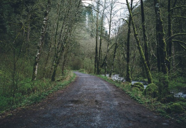 Intimate-Alternative-Waterfall-Wedding-Columbia-Gorge-2