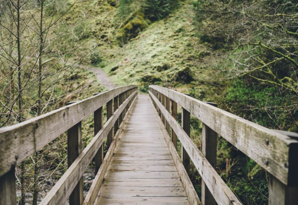 Intimate-Alternative-Waterfall-Wedding-Columbia-Gorge-3