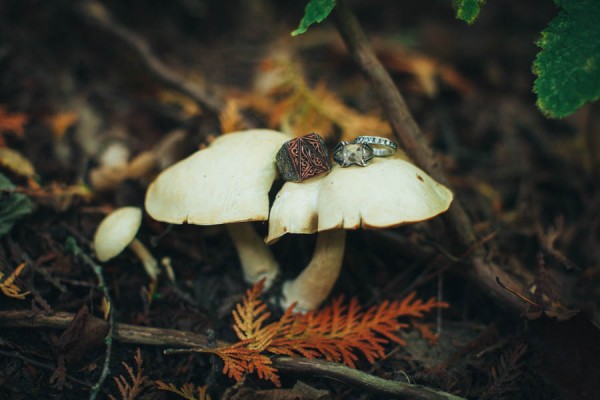 This-Woodland-Wisconsin-Wedding-Straight-from-Pages-Storybook-22