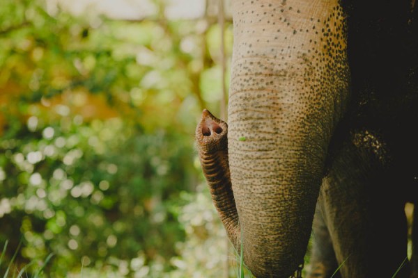 charming-tropical-sri-lanka-wedding-at-mirissa-hills-1