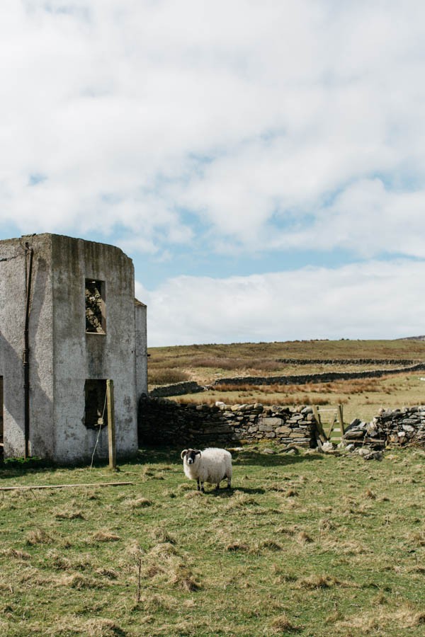 this-portnahaven-hall-wedding-went-totally-natural-by-decorating-with-potted-plants-20