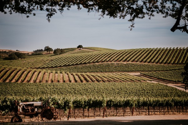 a-california-countryside-wedding-at-pomar-junction-vineyard-winery-33