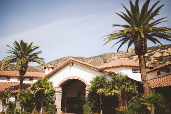 an-alpaca-almost-stole-the-spotlight-in-this-hummingbird-nest-ranch-wedding-1