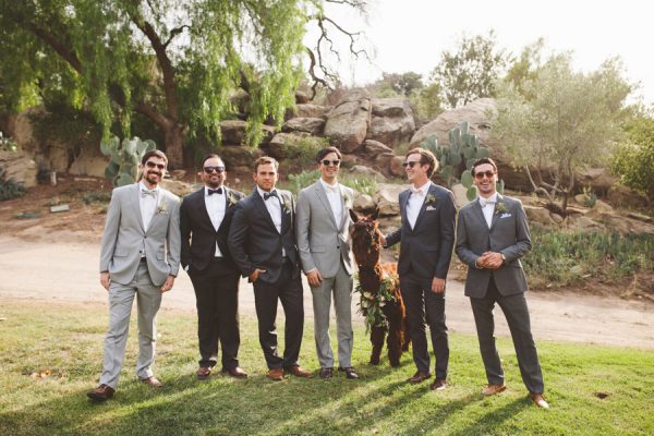 an-alpaca-almost-stole-the-spotlight-in-this-hummingbird-nest-ranch-wedding-14