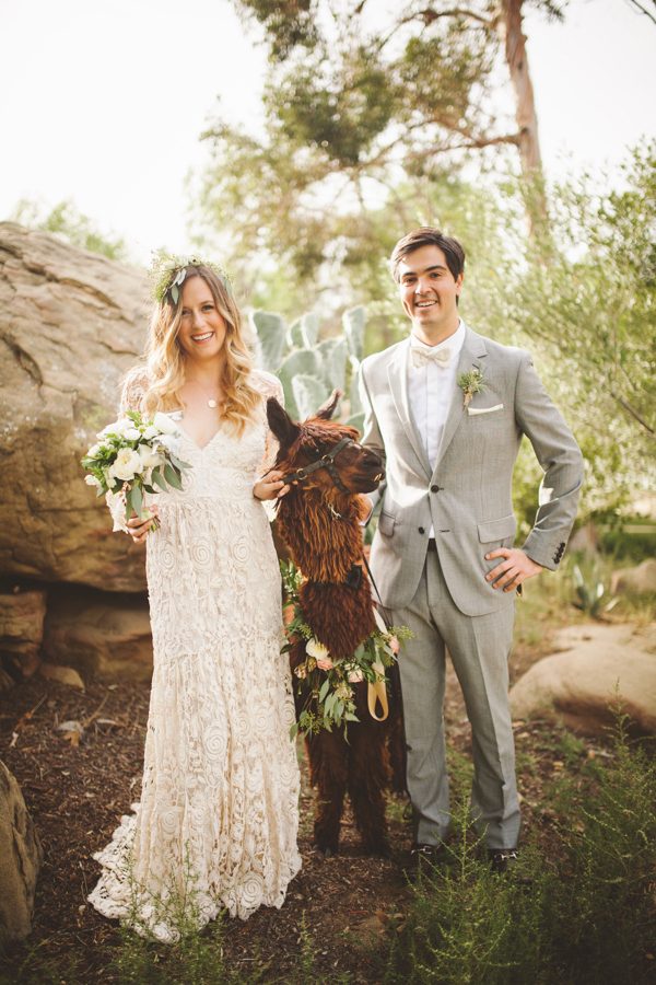 an-alpaca-almost-stole-the-spotlight-in-this-hummingbird-nest-ranch-wedding-22