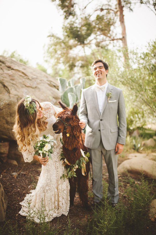 an-alpaca-almost-stole-the-spotlight-in-this-hummingbird-nest-ranch-wedding-23