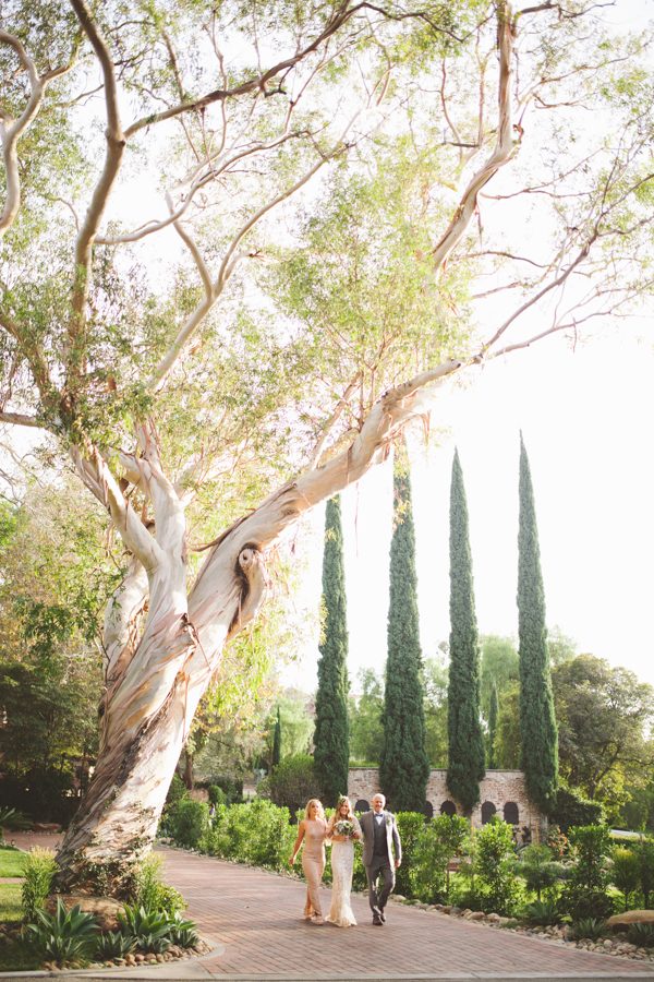 an-alpaca-almost-stole-the-spotlight-in-this-hummingbird-nest-ranch-wedding-34