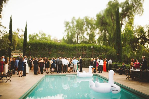 an-alpaca-almost-stole-the-spotlight-in-this-hummingbird-nest-ranch-wedding-42